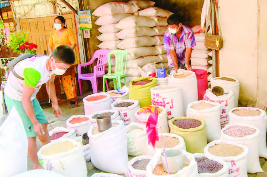 Black bean price on downward trend in domestic market Myanmar Digital News